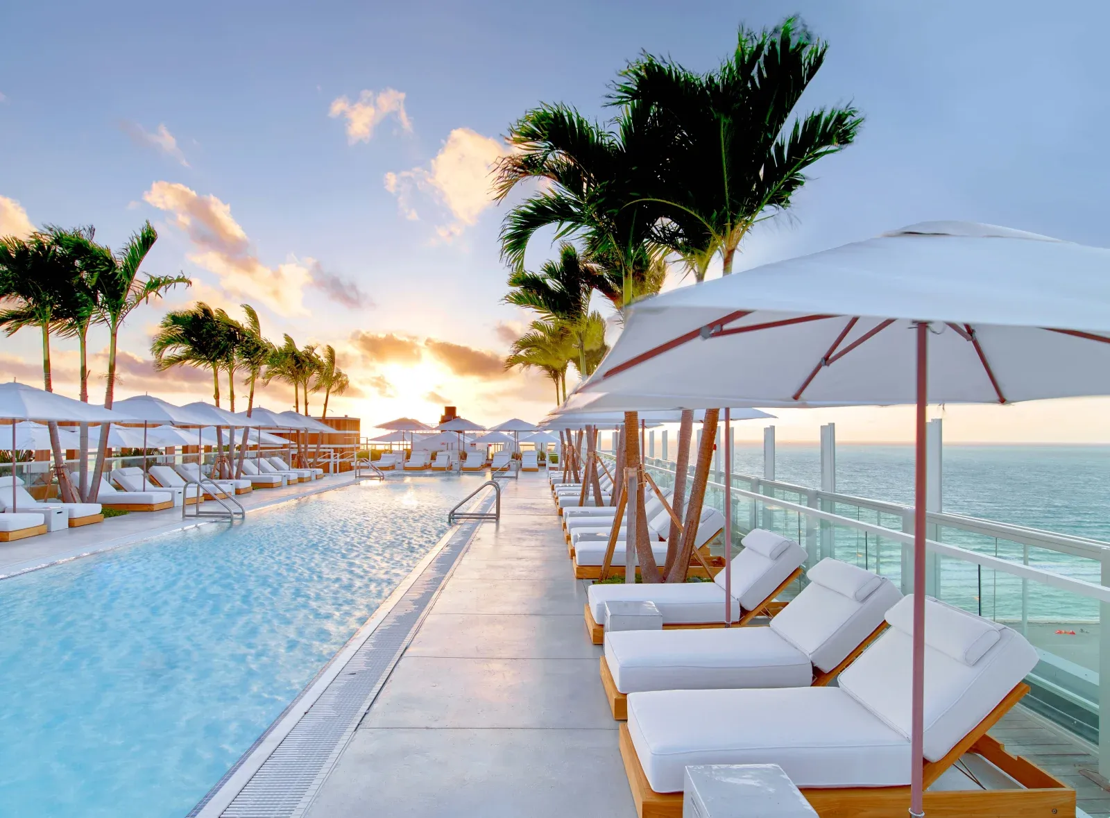 The rooftop pool at 1 Hotel South Beach, Miami.